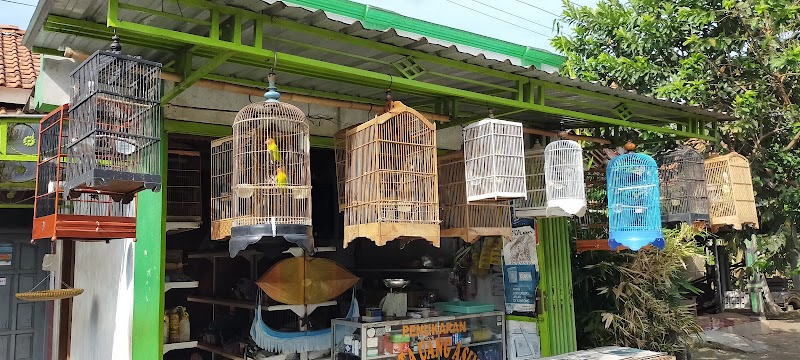 Kios Burung Bang Iyan: Tempat Berkumpulnya Penggemar Burung Cilacap