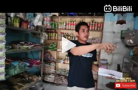 Burung dan Kebersamaan: Kios Bang Iyan, Jantung Kehidupan Burung di Cilacap